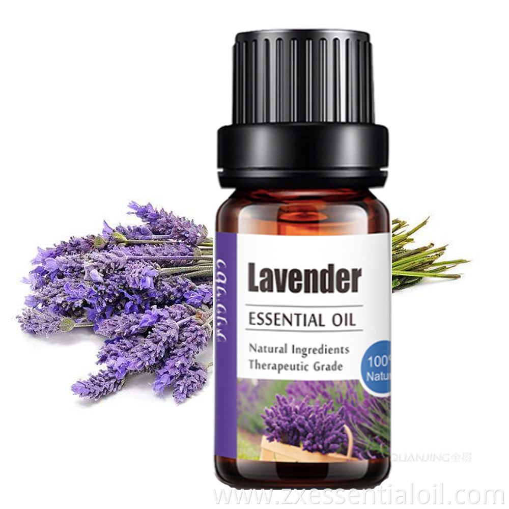 lavender oil